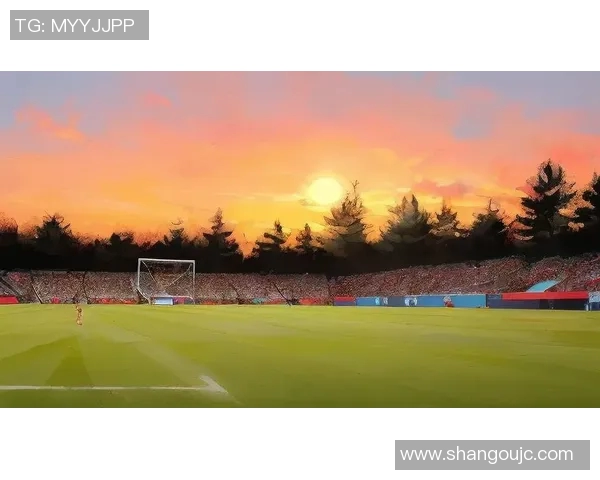 捕捉绿茵场上的瞬间美丽足球摄影作品展现激情与梦想