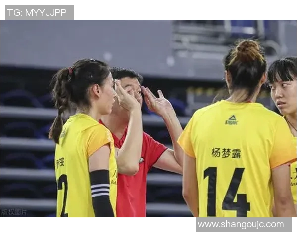 北京女排迎战河北队全力争胜力争晋级赛季高峰对决即将上演